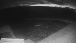 TJ Němčičky - Výstup z vleku - 28.10.2025 v 05:20 TJ Němčičky - Výstup z vleku - 28.10.2025 v 05:20