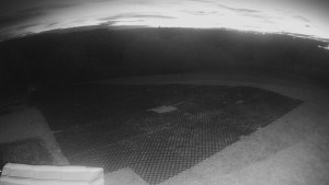 TJ Němčičky - Výstup z vleku - 28.10.2025 v 05:30 TJ Němčičky - Výstup z vleku - 28.10.2025 v 05:30