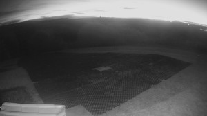 TJ Němčičky - Výstup z vleku - 28.10.2025 v 05:35 TJ Němčičky - Výstup z vleku - 28.10.2025 v 05:35