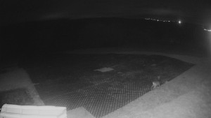 TJ Němčičky - Výstup z vleku - 28.10.2025 v 17:55 TJ Němčičky - Výstup z vleku - 28.10.2025 v 17:55