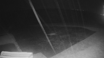 Snímek    2.11.2025 v 21:55