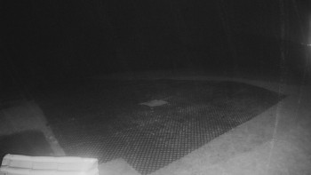 Snímek    2.11.2025 v 23:20