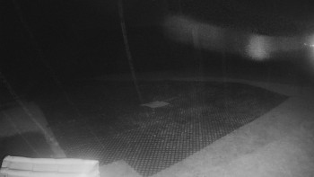 Snímek    2.11.2025 v 23:25