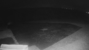 Snímek    2.11.2025 v 23:45