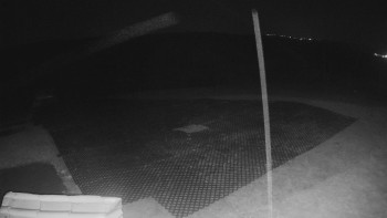 Snímek    3.11.2025 v 04:20