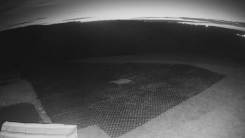 Snímek    4.11.2025 v 05:35