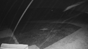 TJ Němčičky - Výstup z vleku - 9.11.2025 v 00:05 TJ Němčičky - Výstup z vleku - 9.11.2025 v 00:05