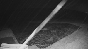 TJ Němčičky - Výstup z vleku - 9.11.2025 v 00:10 TJ Němčičky - Výstup z vleku - 9.11.2025 v 00:10