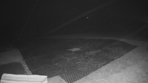 TJ Němčičky - Výstup z vleku - 9.11.2025 v 00:35 TJ Němčičky - Výstup z vleku - 9.11.2025 v 00:35