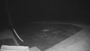 TJ Němčičky - Výstup z vleku - 9.11.2025 v 00:40 TJ Němčičky - Výstup z vleku - 9.11.2025 v 00:40