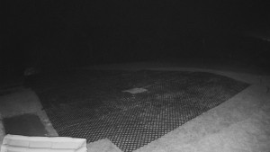 TJ Němčičky - Výstup z vleku - 9.11.2025 v 00:45 TJ Němčičky - Výstup z vleku - 9.11.2025 v 00:45