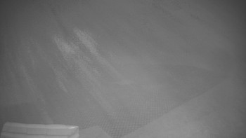 Snímek 12.11.2025 v 16:55