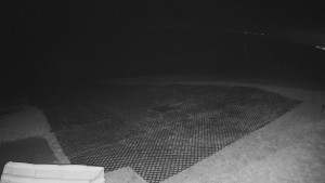 TJ Němčičky - Výstup z vleku - 14.11.2025 v 00:05 TJ Němčičky - Výstup z vleku - 14.11.2025 v 00:05