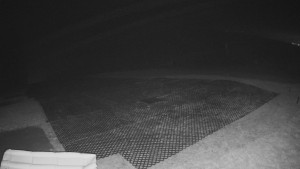 TJ Němčičky - Výstup z vleku - 14.11.2025 v 00:15 TJ Němčičky - Výstup z vleku - 14.11.2025 v 00:15