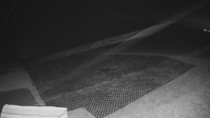 TJ Němčičky - Výstup z vleku - 14.11.2025 v 01:45 TJ Němčičky - Výstup z vleku - 14.11.2025 v 01:45