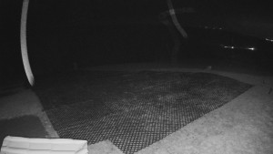 TJ Němčičky - Výstup z vleku - 30.11.2025 v 00:15 TJ Němčičky - Výstup z vleku - 30.11.2025 v 00:15