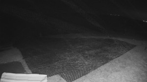 TJ Němčičky - Výstup z vleku - 30.11.2025 v 00:20 TJ Němčičky - Výstup z vleku - 30.11.2025 v 00:20