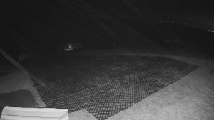 TJ Němčičky - Výstup z vleku - 30.11.2025 v 00:25 TJ Němčičky - Výstup z vleku - 30.11.2025 v 00:25