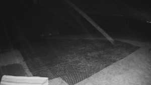 TJ Němčičky - Výstup z vleku - 30.11.2025 v 00:30 TJ Němčičky - Výstup z vleku - 30.11.2025 v 00:30