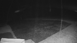 TJ Němčičky - Výstup z vleku - 30.11.2025 v 00:45 TJ Němčičky - Výstup z vleku - 30.11.2025 v 00:45