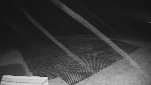 TJ Němčičky - Výstup z vleku - 30.11.2025 v 01:05 TJ Němčičky - Výstup z vleku - 30.11.2025 v 01:05