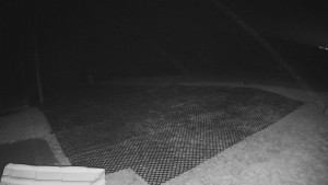 TJ Němčičky - Výstup z vleku - 30.11.2025 v 01:10 TJ Němčičky - Výstup z vleku - 30.11.2025 v 01:10