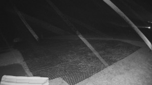 TJ Němčičky - Výstup z vleku - 30.11.2025 v 01:15 TJ Němčičky - Výstup z vleku - 30.11.2025 v 01:15