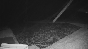 TJ Němčičky - Výstup z vleku - 30.11.2025 v 01:35 TJ Němčičky - Výstup z vleku - 30.11.2025 v 01:35