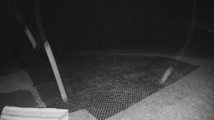 TJ Němčičky - Výstup z vleku - 30.11.2025 v 01:50 TJ Němčičky - Výstup z vleku - 30.11.2025 v 01:50