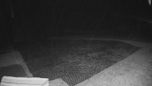 TJ Němčičky - Výstup z vleku - 30.11.2025 v 02:00 TJ Němčičky - Výstup z vleku - 30.11.2025 v 02:00