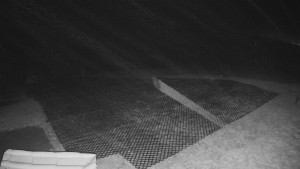 TJ Němčičky - Výstup z vleku - 30.11.2025 v 02:10 TJ Němčičky - Výstup z vleku - 30.11.2025 v 02:10