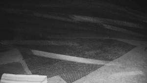 TJ Němčičky - Výstup z vleku - 30.11.2025 v 02:15 TJ Němčičky - Výstup z vleku - 30.11.2025 v 02:15