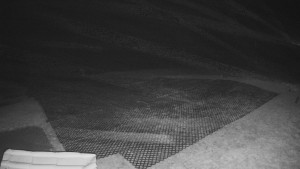 TJ Němčičky - Výstup z vleku - 30.11.2025 v 02:20 TJ Němčičky - Výstup z vleku - 30.11.2025 v 02:20