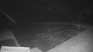 TJ Němčičky - Výstup z vleku - 30.11.2025 v 02:30 TJ Němčičky - Výstup z vleku - 30.11.2025 v 02:30