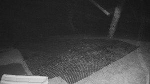 TJ Němčičky - Výstup z vleku - 30.11.2025 v 02:40 TJ Němčičky - Výstup z vleku - 30.11.2025 v 02:40