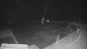 TJ Němčičky - Výstup z vleku - 30.11.2025 v 02:45 TJ Němčičky - Výstup z vleku - 30.11.2025 v 02:45