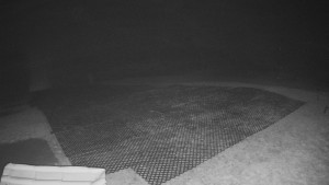 TJ Němčičky - Výstup z vleku - 30.11.2025 v 03:00 TJ Němčičky - Výstup z vleku - 30.11.2025 v 03:00