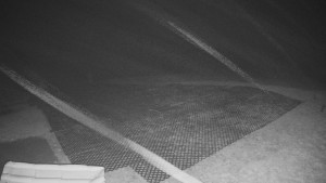 TJ Němčičky - Výstup z vleku - 30.11.2025 v 03:05 TJ Němčičky - Výstup z vleku - 30.11.2025 v 03:05