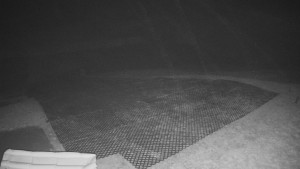 TJ Němčičky - Výstup z vleku - 30.11.2025 v 03:20 TJ Němčičky - Výstup z vleku - 30.11.2025 v 03:20