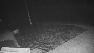 TJ Němčičky - Výstup z vleku - 30.11.2025 v 03:40 TJ Němčičky - Výstup z vleku - 30.11.2025 v 03:40