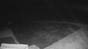 TJ Němčičky - Výstup z vleku - 30.11.2025 v 04:15 TJ Němčičky - Výstup z vleku - 30.11.2025 v 04:15