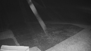 TJ Němčičky - Výstup z vleku - 30.11.2025 v 04:20 TJ Němčičky - Výstup z vleku - 30.11.2025 v 04:20