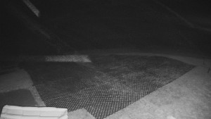 TJ Němčičky - Výstup z vleku - 30.11.2025 v 04:25 TJ Němčičky - Výstup z vleku - 30.11.2025 v 04:25