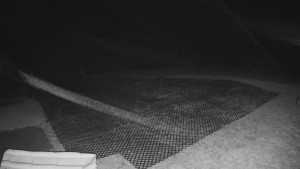 TJ Němčičky - Výstup z vleku - 30.11.2025 v 04:35 TJ Němčičky - Výstup z vleku - 30.11.2025 v 04:35