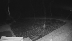 TJ Němčičky - Výstup z vleku - 30.11.2025 v 04:45 TJ Němčičky - Výstup z vleku - 30.11.2025 v 04:45