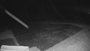 TJ Němčičky - Výstup z vleku - 30.11.2025 v 05:00 TJ Němčičky - Výstup z vleku - 30.11.2025 v 05:00