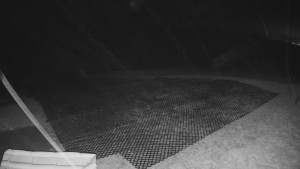 TJ Němčičky - Výstup z vleku - 30.11.2025 v 05:05 TJ Němčičky - Výstup z vleku - 30.11.2025 v 05:05