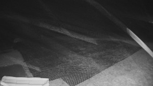 TJ Němčičky - Výstup z vleku - 30.11.2025 v 05:25 TJ Němčičky - Výstup z vleku - 30.11.2025 v 05:25