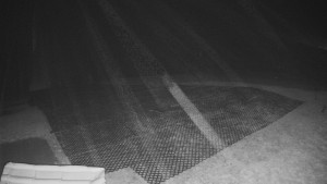 TJ Němčičky - Výstup z vleku - 30.11.2025 v 05:45 TJ Němčičky - Výstup z vleku - 30.11.2025 v 05:45