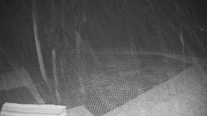 TJ Němčičky - Výstup z vleku - 30.11.2025 v 06:00 TJ Němčičky - Výstup z vleku - 30.11.2025 v 06:00